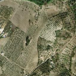 Satellite imagery of survey_point, DZ