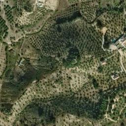 Satellite imagery of survey_point, DZ