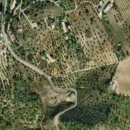 Satellite imagery of survey_point, DZ
