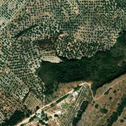 Satellite imagery of survey_point, DZ