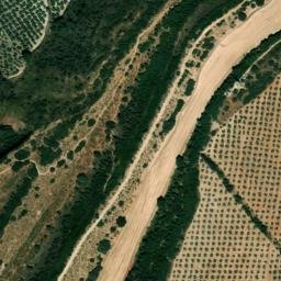 Satellite imagery of survey_point, DZ