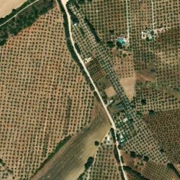 Satellite imagery of survey_point, DZ