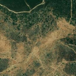 Satellite imagery of survey_point, DZ