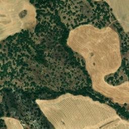 Satellite imagery of survey_point, DZ