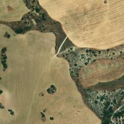 Satellite imagery of survey_point, DZ
