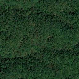 Satellite imagery of Chestnut Flat Ridge, US