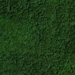 Satellite imagery of Curt Pond Ridge, US
