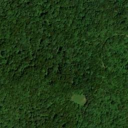 Satellite imagery of Curt Pond Ridge, US