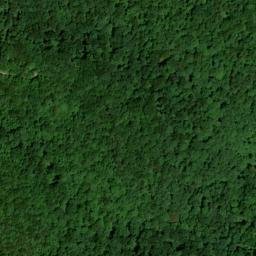 Satellite imagery of Curt Pond Ridge, US