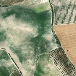 Satellite imagery of survey_point, DZ
