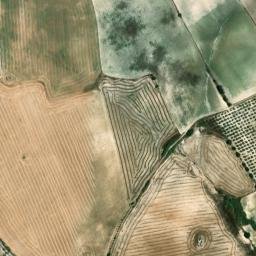 Satellite imagery of survey_point, DZ