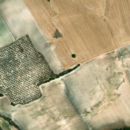 Satellite imagery of survey_point, DZ