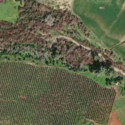 Satellite imagery of survey_point, DZ