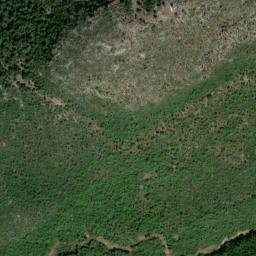 Satellite imagery of survey_point, DZ