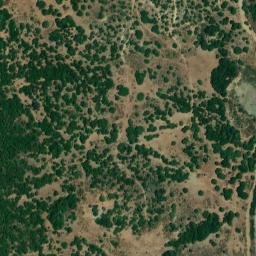 Satellite imagery of survey_point, DZ