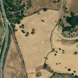 Satellite imagery of survey_point, DZ