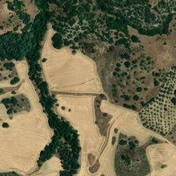 Satellite imagery of survey_point, DZ