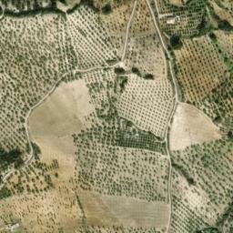 Satellite imagery of survey_point, DZ
