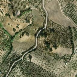 Satellite imagery of survey_point, DZ