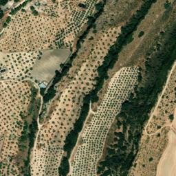 Satellite imagery of survey_point, DZ