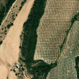 Satellite imagery of survey_point, DZ