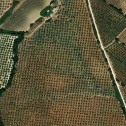 Satellite imagery of survey_point, DZ