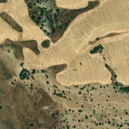 Satellite imagery of survey_point, DZ