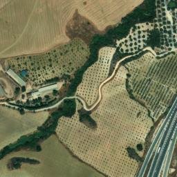 Satellite imagery of survey_point, DZ