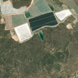 Satellite imagery of survey_point, DZ