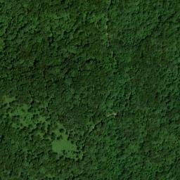 Satellite imagery of Curt Pond Ridge, US