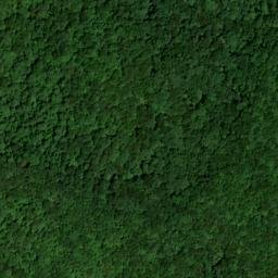 Satellite imagery of Curt Pond Ridge, US
