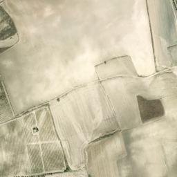 Satellite imagery of survey_point, DZ