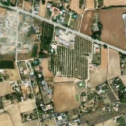 Satellite imagery of survey_point, DZ