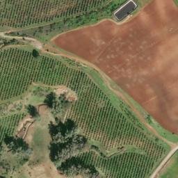 Satellite imagery of survey_point, DZ