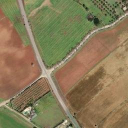 Satellite imagery of survey_point, DZ