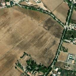 Satellite imagery of survey_point, DZ