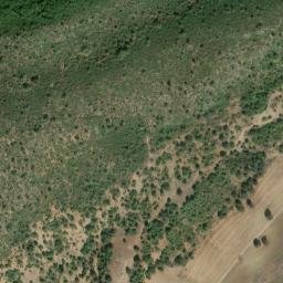 Satellite imagery of survey_point, DZ