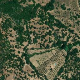 Satellite imagery of survey_point, DZ