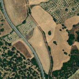 Satellite imagery of survey_point, DZ