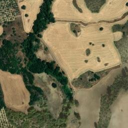 Satellite imagery of survey_point, DZ