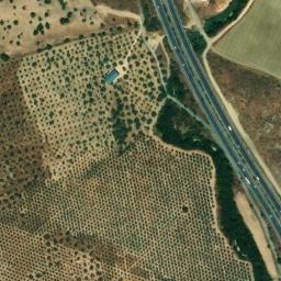 Satellite imagery of survey_point, DZ