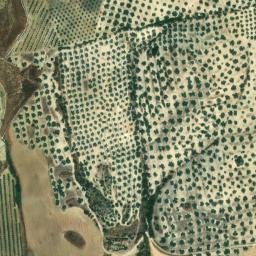 Satellite imagery of survey_point, DZ