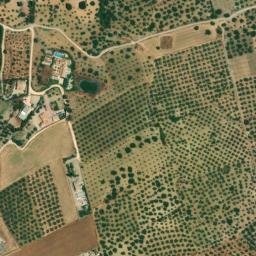 Satellite imagery of survey_point, DZ