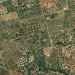 Satellite imagery of survey_point, DZ