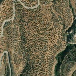 Satellite imagery of survey_point, DZ