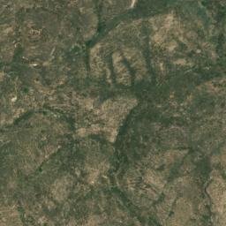 Satellite imagery of survey_point, DZ