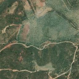 Satellite imagery of survey_point, DZ