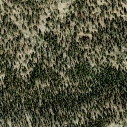 Satellite imagery of Dead Pine Ridge, US