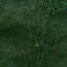 Satellite imagery of Big Pond Ridge, US