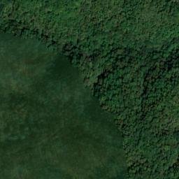 Satellite imagery of Big Pond Ridge, US
